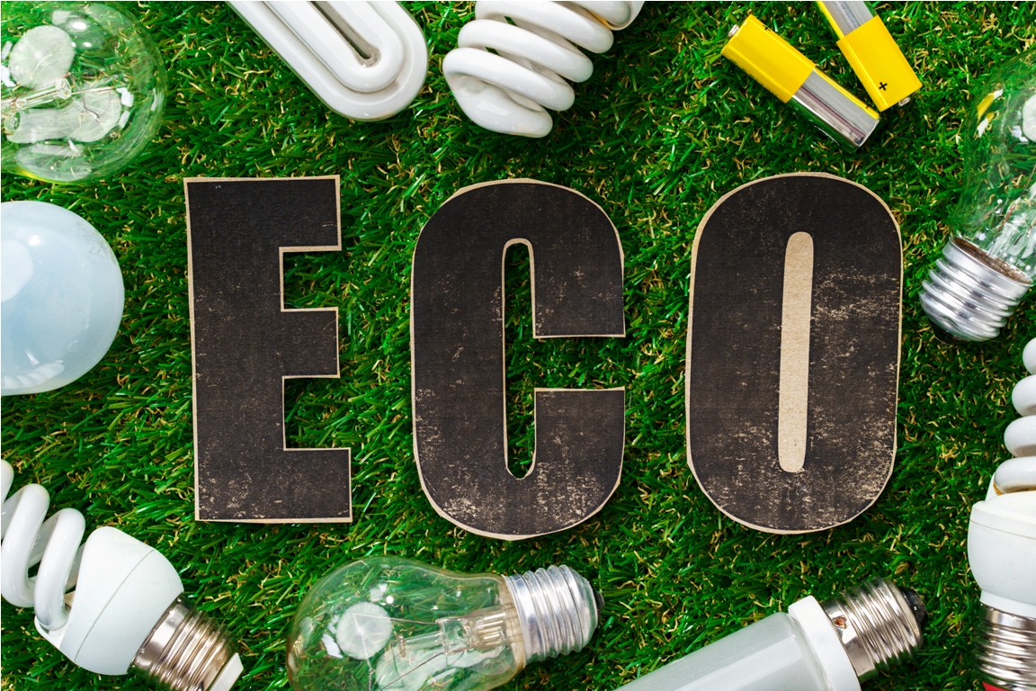 eco energy saving light bulbs on grass background