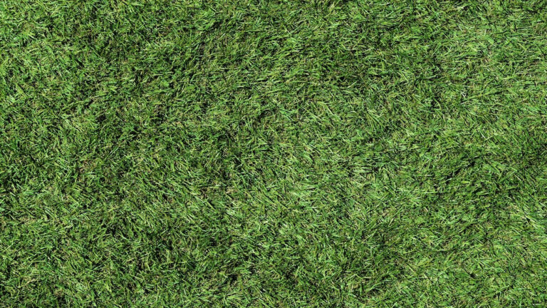 turf surface texture 125540 985