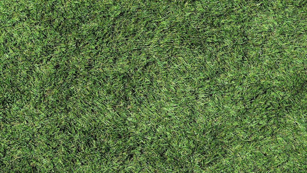 turf surface texture 125540 985