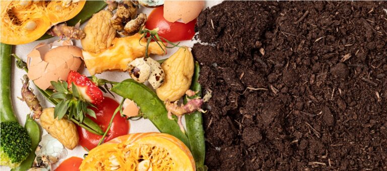 food leftovers for compost and composted soil 2023 03 22 17 00 47 utc
