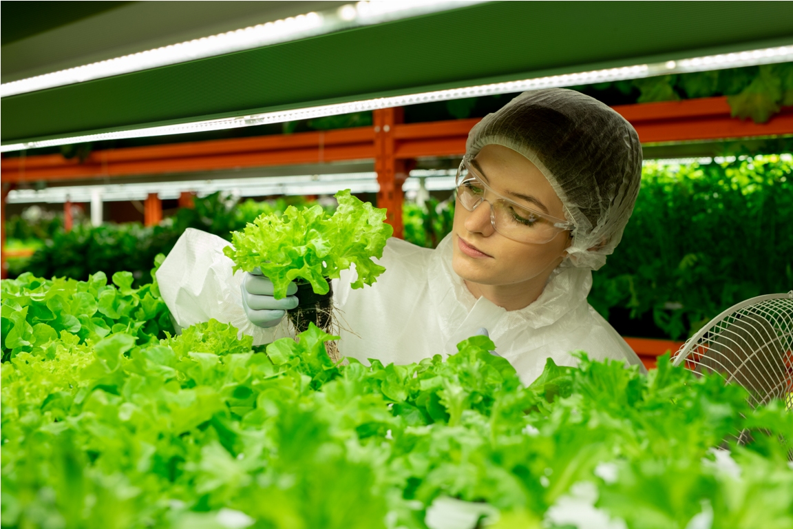 young contemporary female agroengineer in protecti 2022 02 01 22 38 35 utc