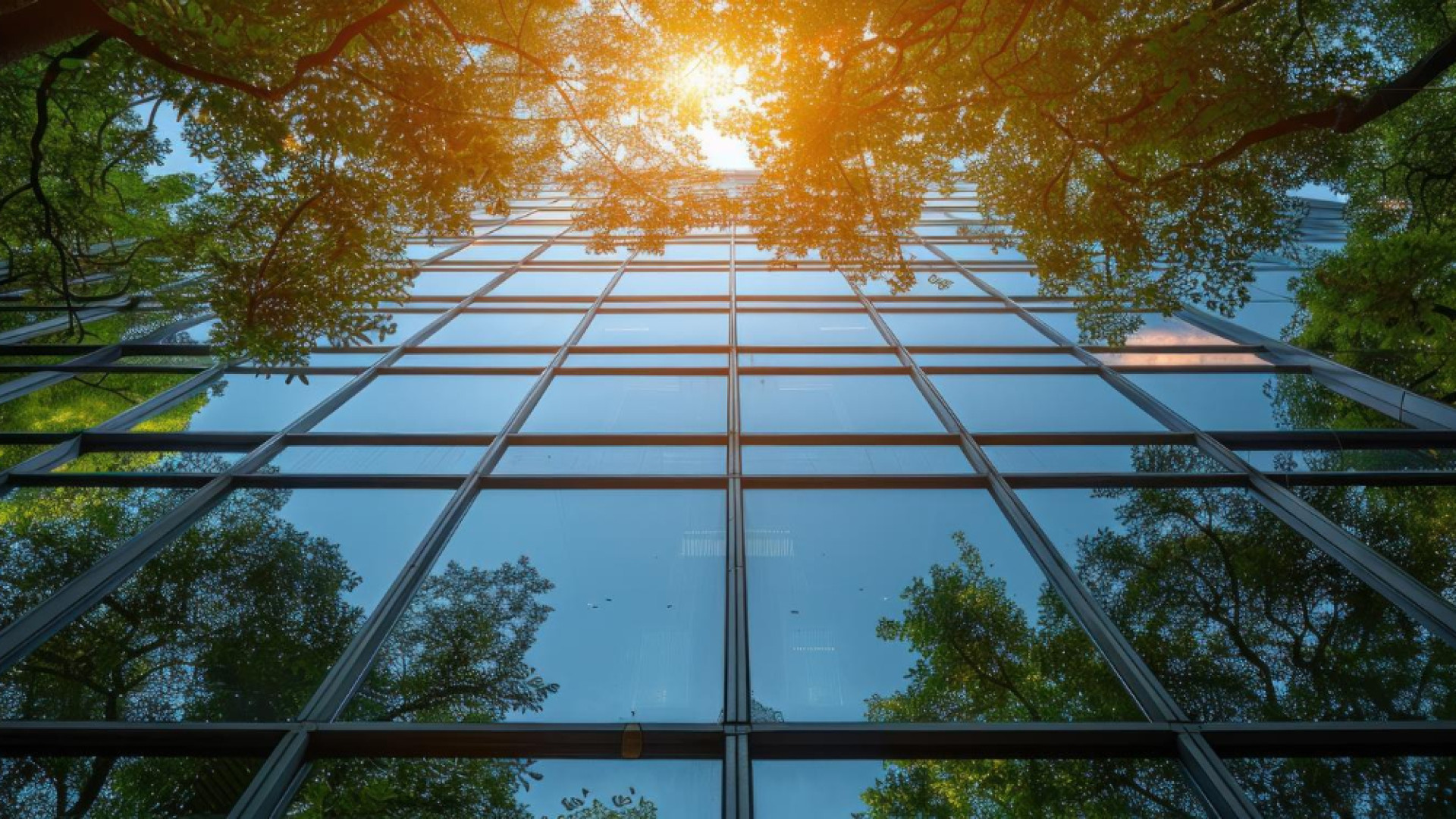 Comment les films solaires transforment nos espaces de vie ?